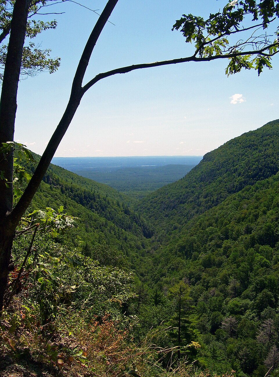 Looking east over Platte Clove