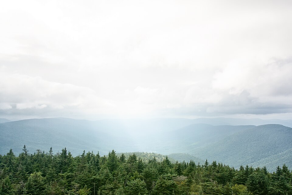 The view from the Hunter fire tower
