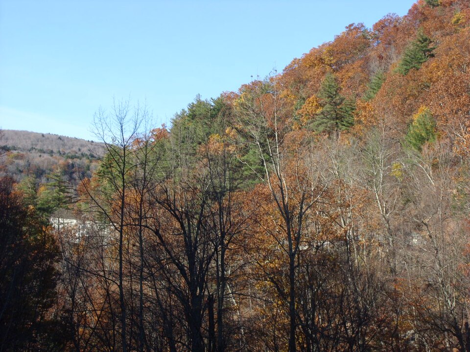 Kaaterskill Falls in autumn